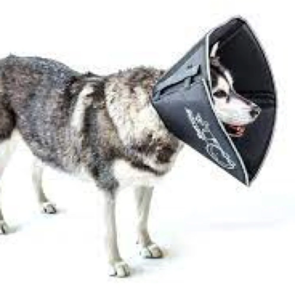 COMFY CONE pet E-Collar for Large dogs All Four Paws L